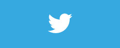 twitter-logo-spalla